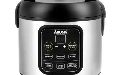 How to Choose a Rice Cooker: Basic vs. Multi-Functional Models
