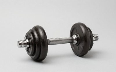 Best Adjustable Dumbbells for Home Gyms