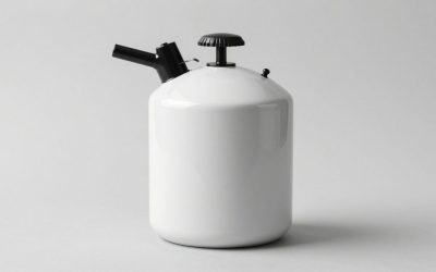 Best Electric Pressure Canner: 5 Models for Counter-Top Canning